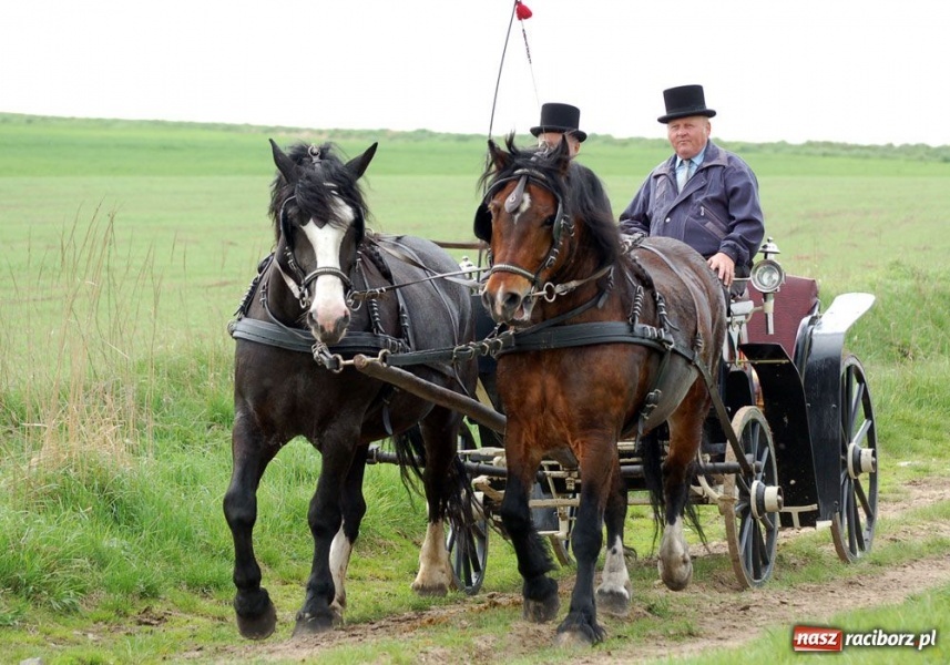 Zdjęcie w galerii na portalu naszraciborz.pl: Bieńkowicki obchód pól AD 2011 wiadomości z regionu