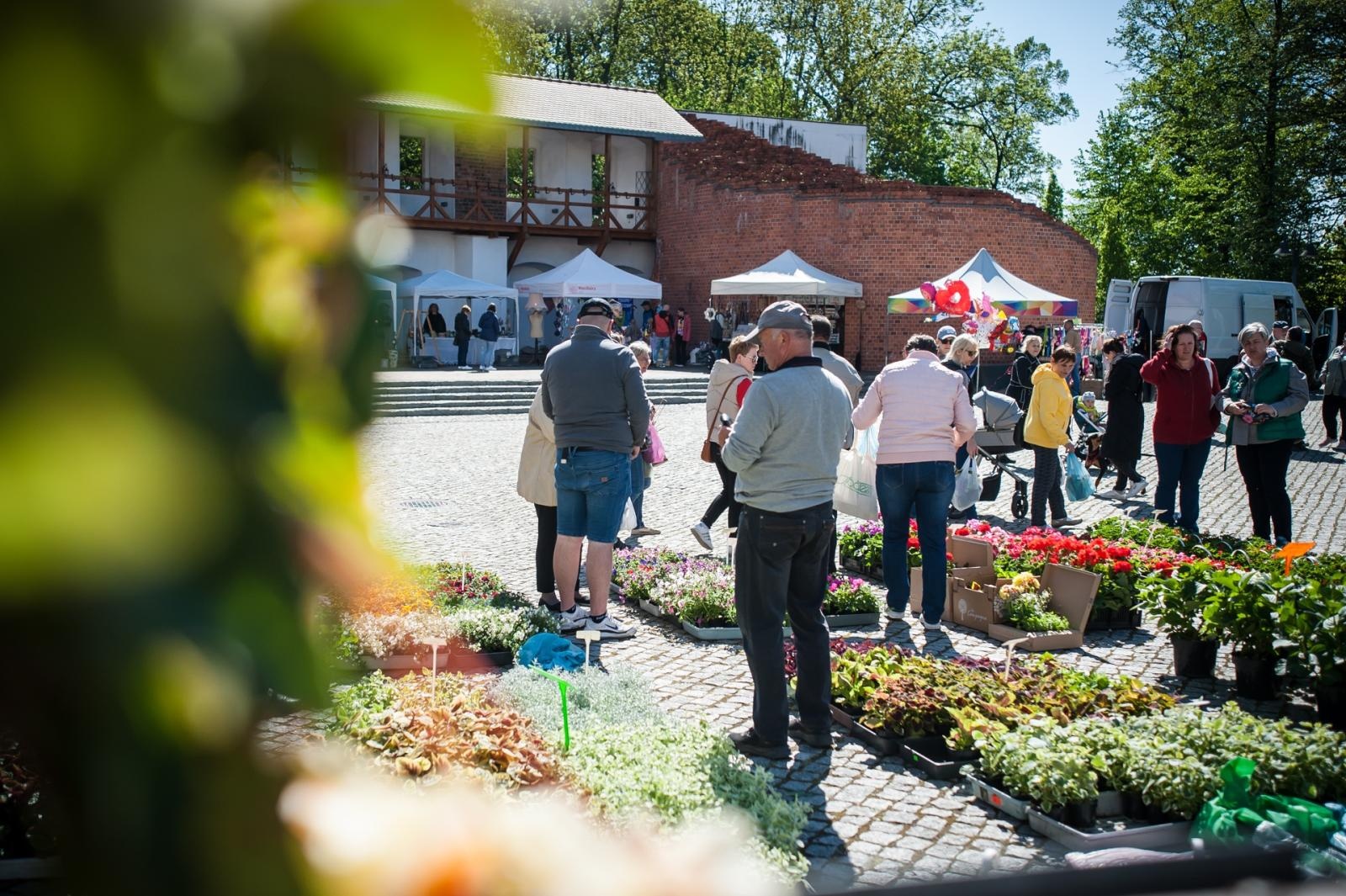 Zdjęcie w galerii na portalu naszraciborz.pl: Wiosenny jarmark na raciborskim zamku za nami. Przed nami koncert i turniej rycerski wiadomości z regionu
