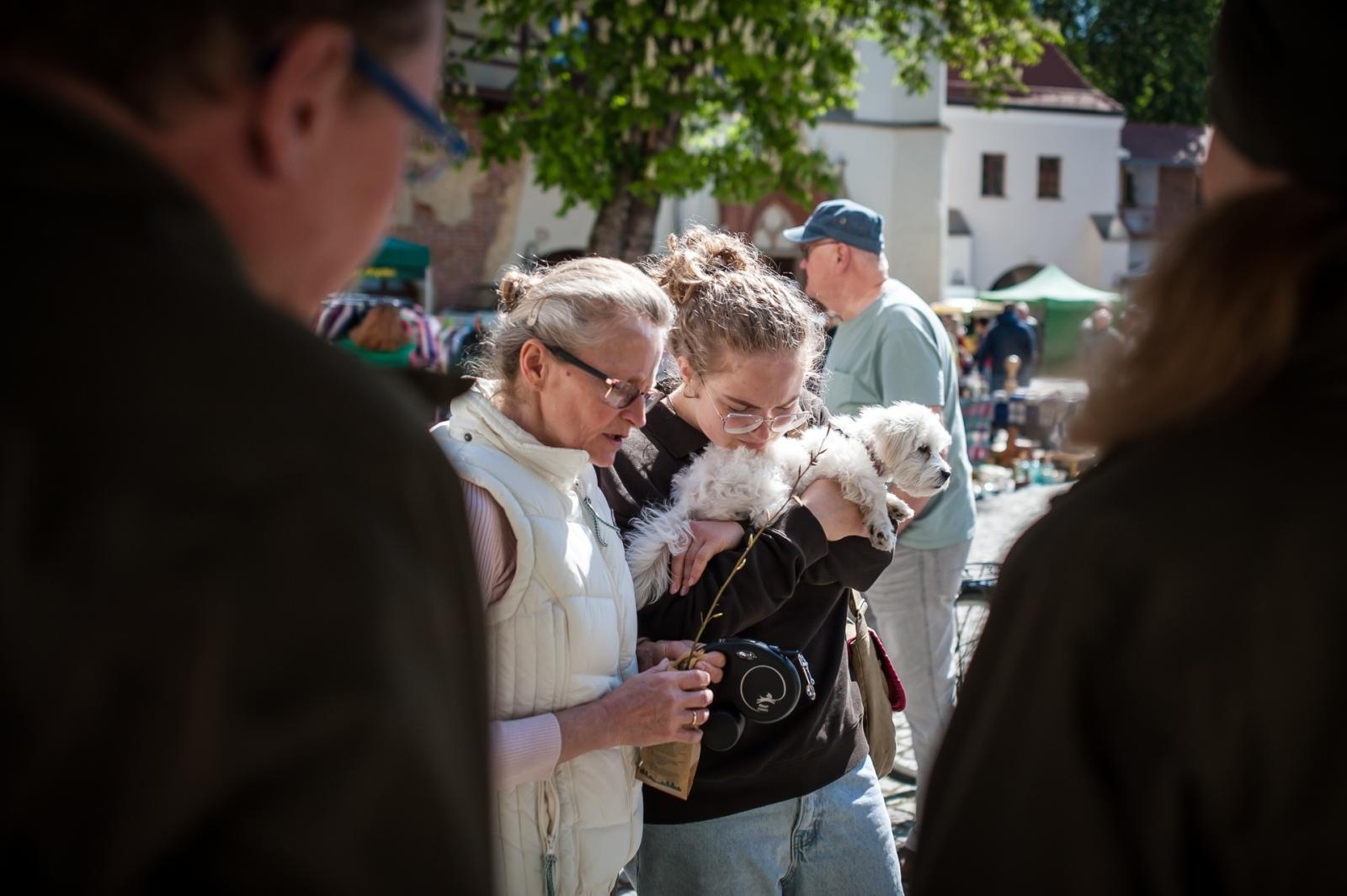 Zdjęcie w galerii na portalu naszraciborz.pl: Wiosenny jarmark na raciborskim zamku za nami. Przed nami koncert i turniej rycerski wiadomości z regionu