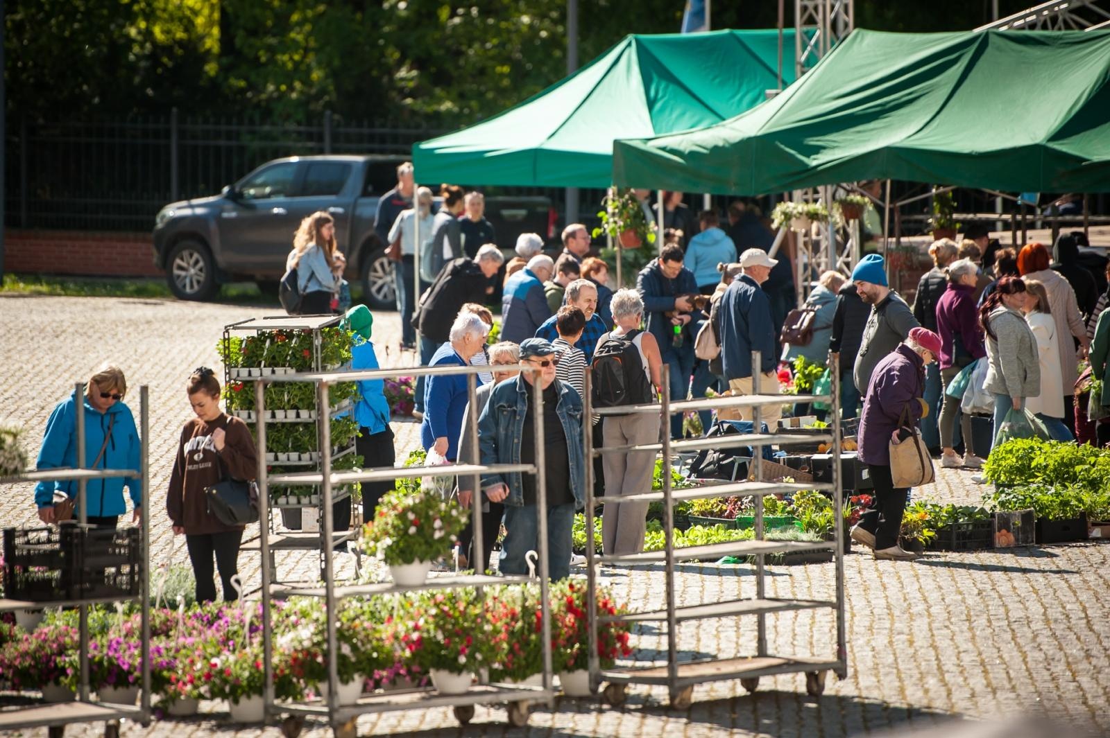 Zdjęcie w galerii na portalu naszraciborz.pl: Wiosenny jarmark na raciborskim zamku za nami. Przed nami koncert i turniej rycerski wiadomości z regionu