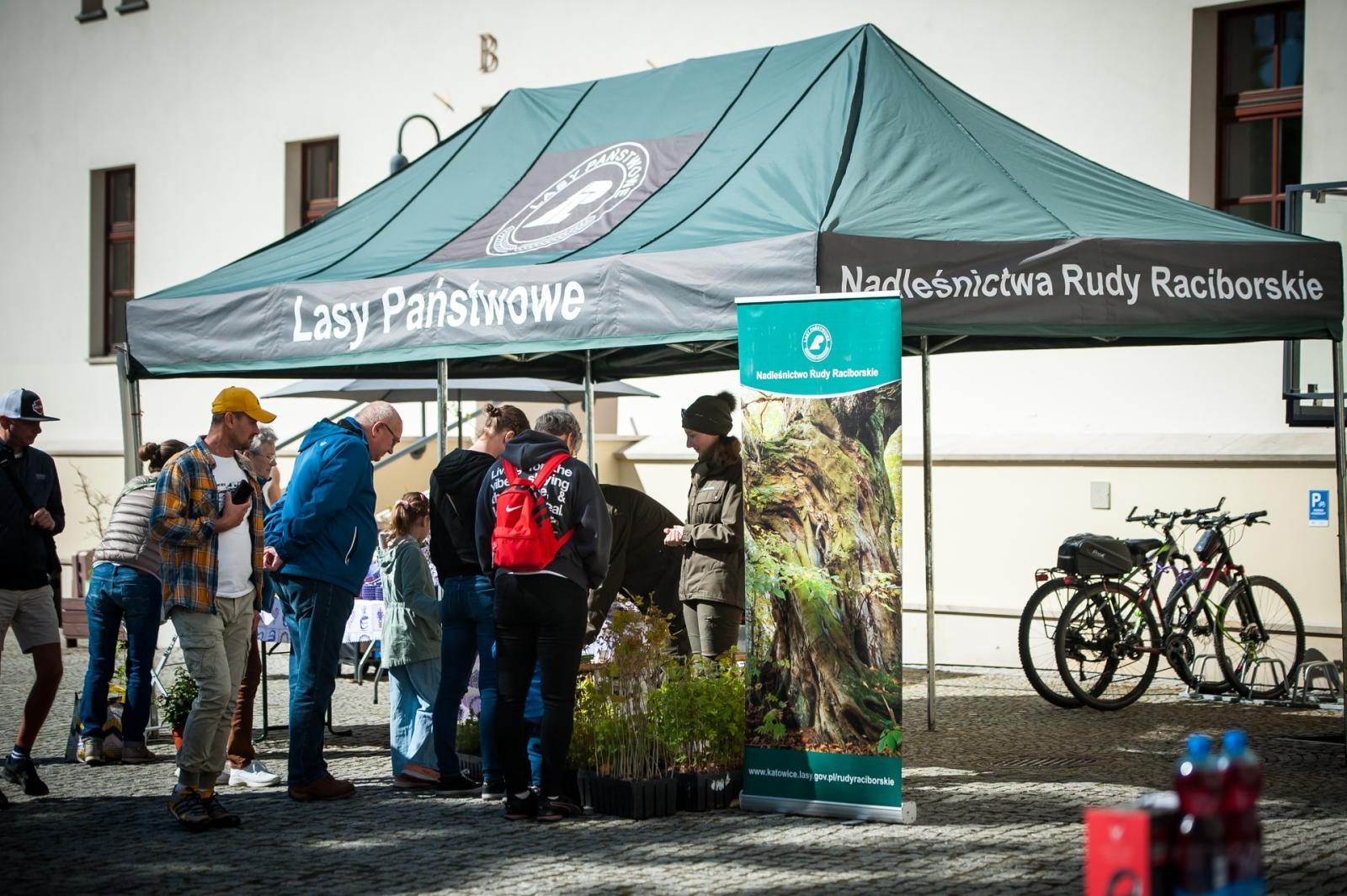 Zdjęcie w galerii na portalu naszraciborz.pl: Wiosenny jarmark na raciborskim zamku za nami. Przed nami koncert i turniej rycerski wiadomości z regionu