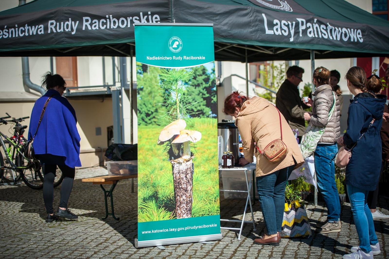 Zdjęcie w galerii na portalu naszraciborz.pl: Wiosenny jarmark na raciborskim zamku za nami. Przed nami koncert i turniej rycerski wiadomości z regionu