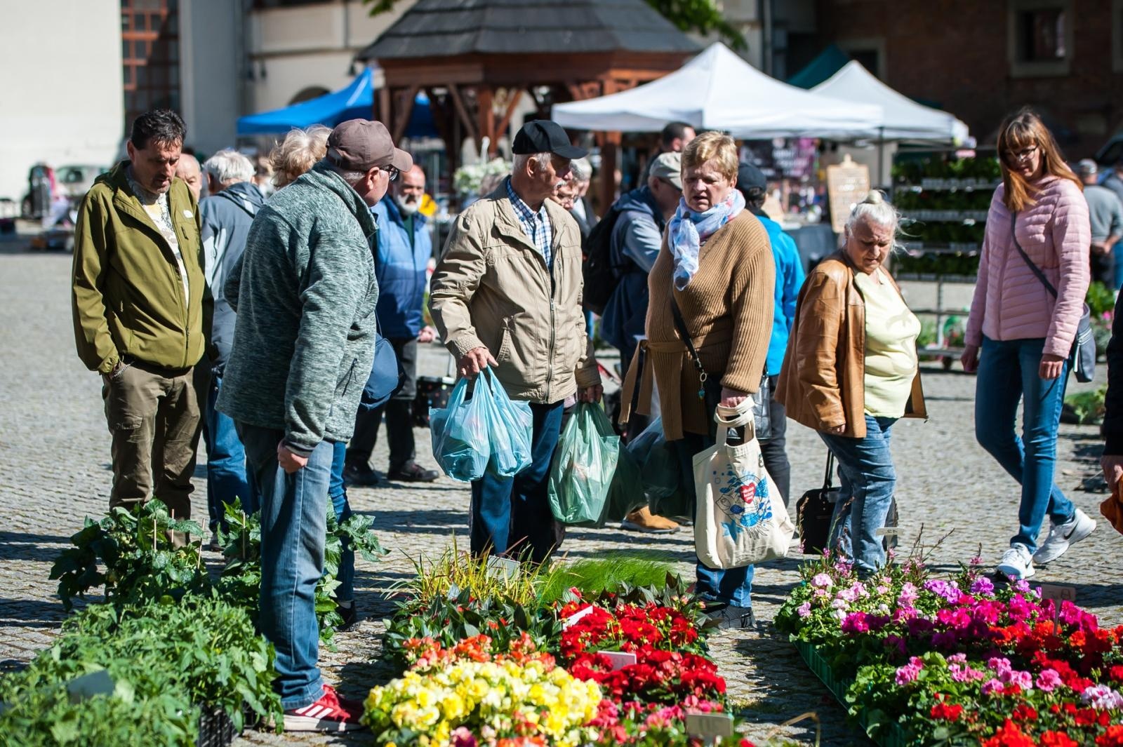 Zdjęcie w galerii na portalu naszraciborz.pl: Wiosenny jarmark na raciborskim zamku za nami. Przed nami koncert i turniej rycerski wiadomości z regionu