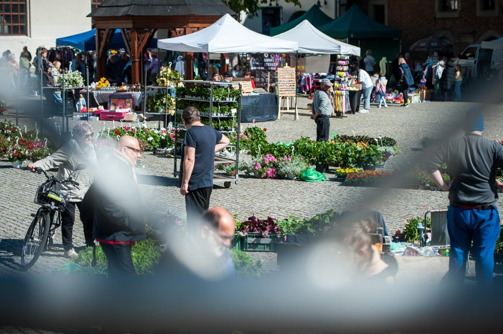 Zdjęcie w galerii na portalu naszraciborz.pl: Wiosenny jarmark na raciborskim zamku za nami. Przed nami koncert i turniej rycerski wiadomości z regionu