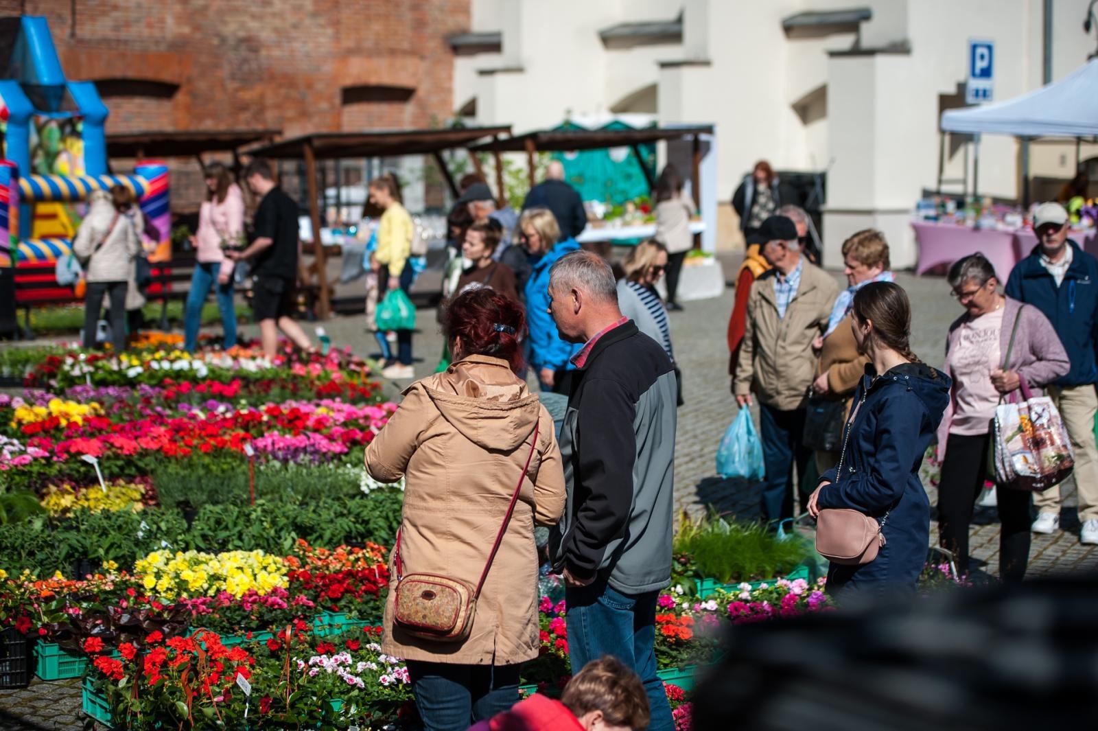 Zdjęcie w galerii na portalu naszraciborz.pl: Wiosenny jarmark na raciborskim zamku za nami. Przed nami koncert i turniej rycerski wiadomości z regionu