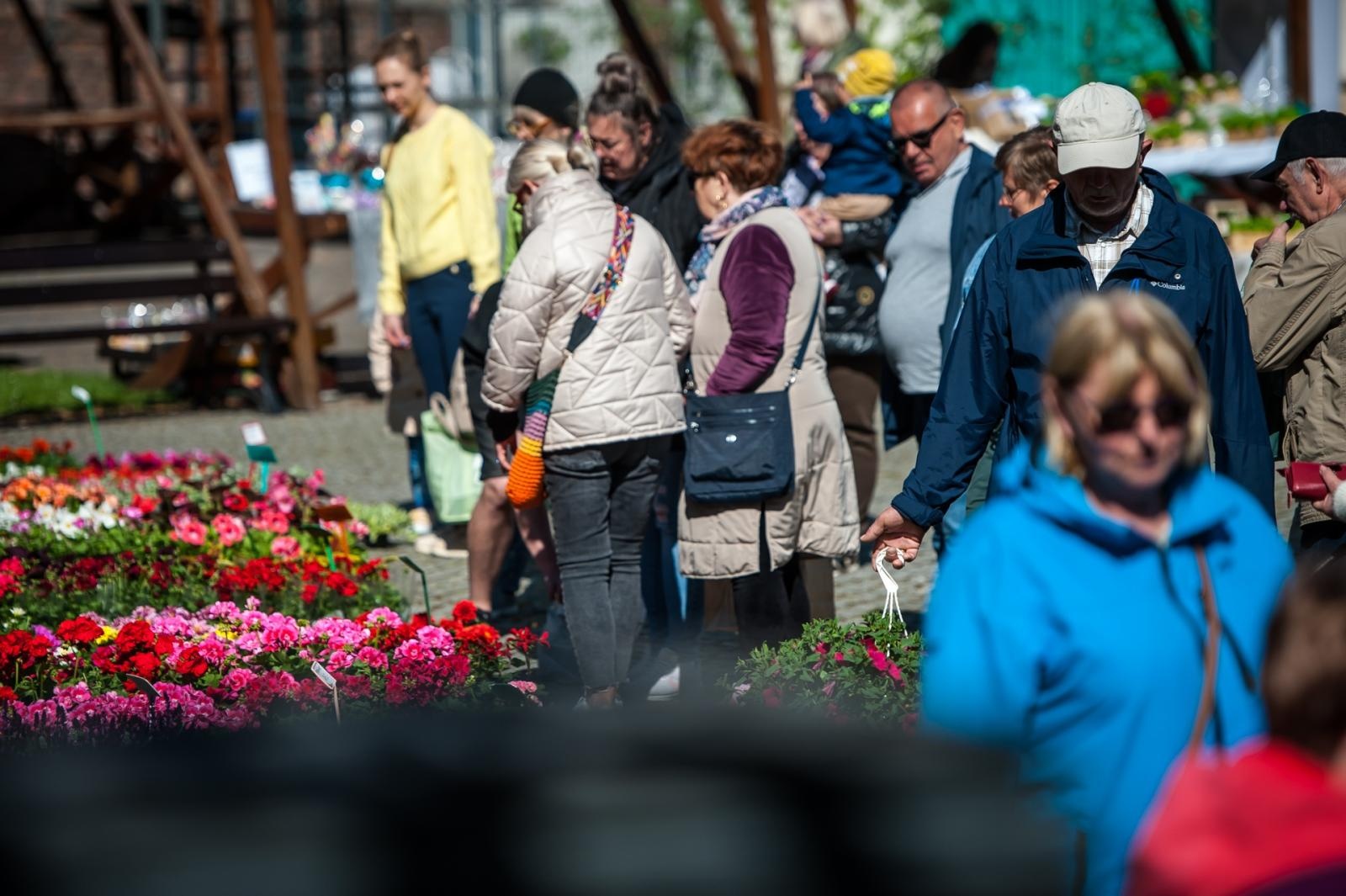 Zdjęcie w galerii na portalu naszraciborz.pl: Wiosenny jarmark na raciborskim zamku za nami. Przed nami koncert i turniej rycerski wiadomości z regionu
