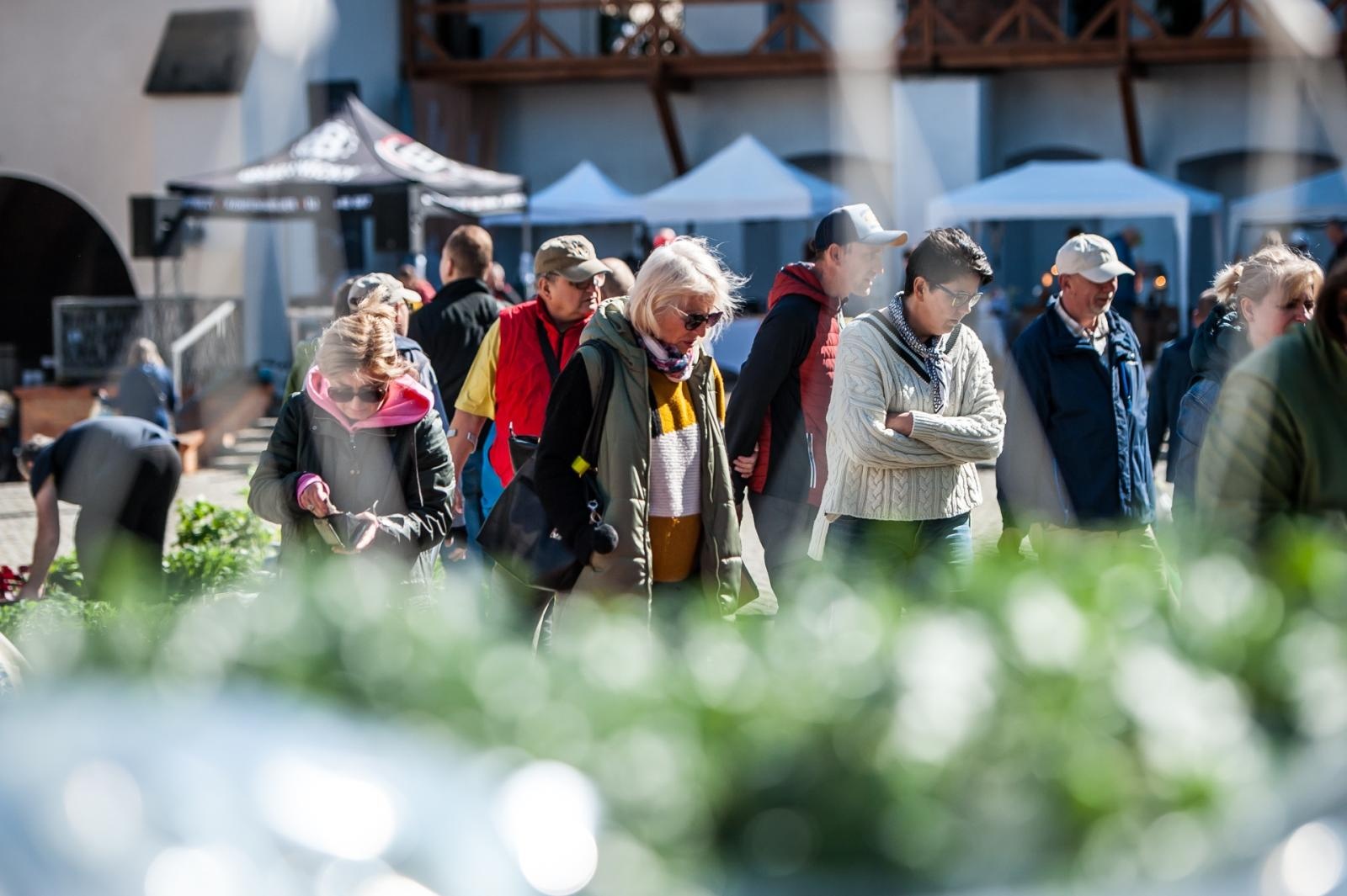 Zdjęcie w galerii na portalu naszraciborz.pl: Wiosenny jarmark na raciborskim zamku za nami. Przed nami koncert i turniej rycerski wiadomości z regionu