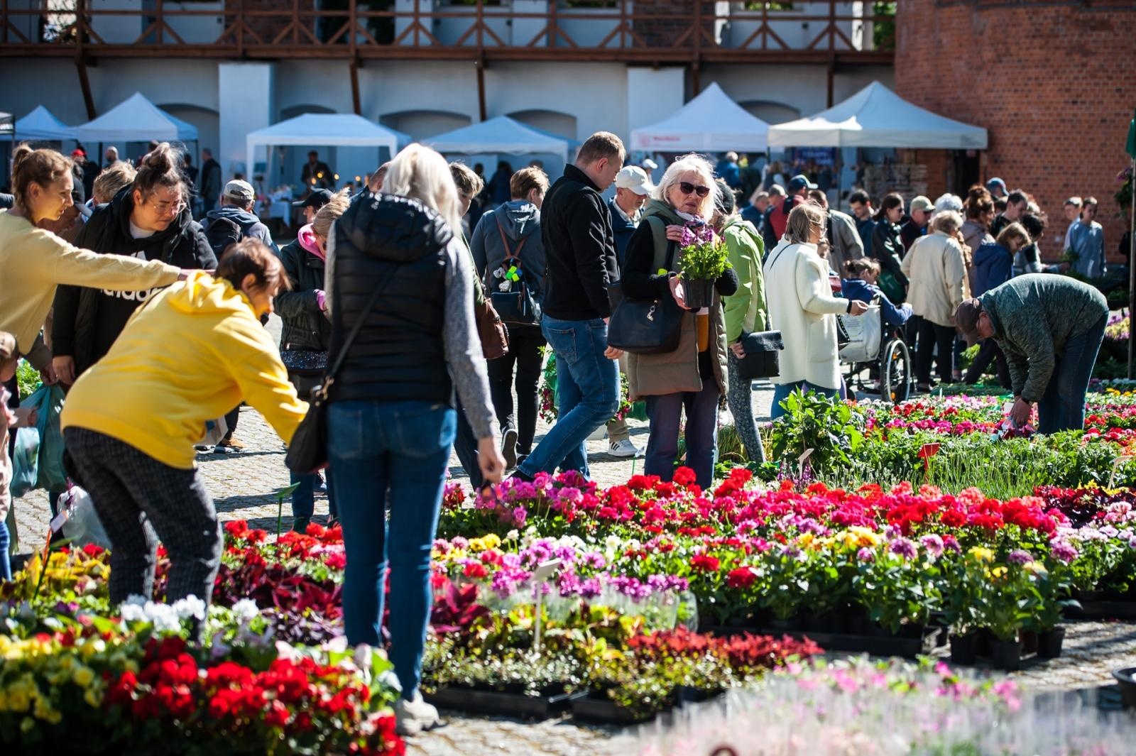 Zdjęcie w galerii na portalu naszraciborz.pl: Wiosenny jarmark na raciborskim zamku za nami. Przed nami koncert i turniej rycerski wiadomości z regionu
