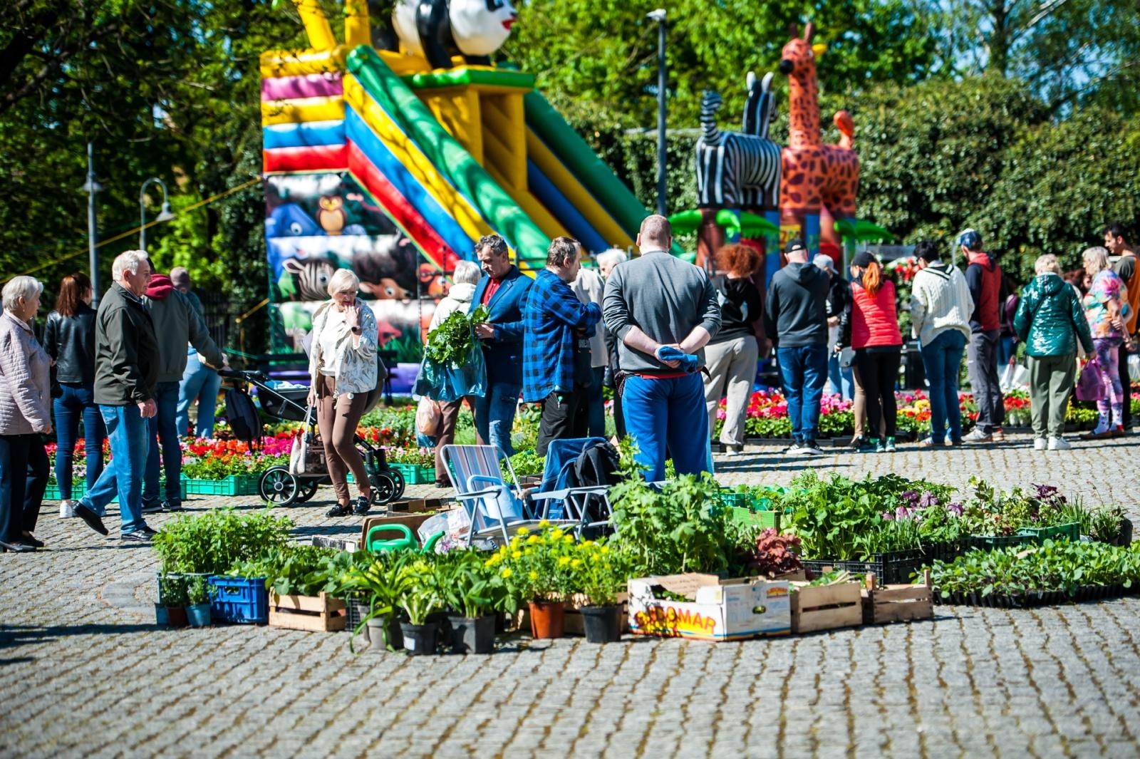 Zdjęcie w galerii na portalu naszraciborz.pl: Wiosenny jarmark na raciborskim zamku za nami. Przed nami koncert i turniej rycerski wiadomości z regionu