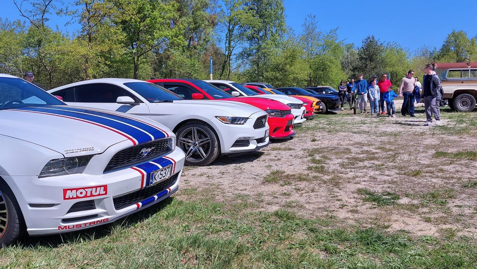Zdjęcie w galerii na portalu naszraciborz.pl: Perełki amerykańskiej motoryzacji opanowały kuźniański Wodnik wiadomości z regionu