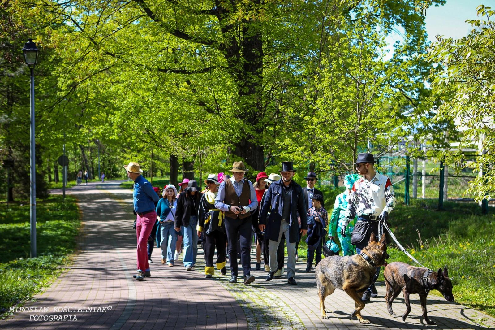 Zdjęcie w galerii na portalu naszraciborz.pl: Druga edycja World Hat Walk w Raciborzu [FOTO] wiadomości z regionu