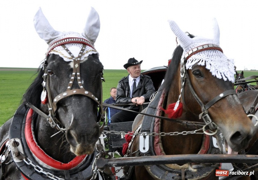 Zdjęcie w galerii na portalu naszraciborz.pl: Do Sudoła przyjechali husarzy wiadomości z regionu