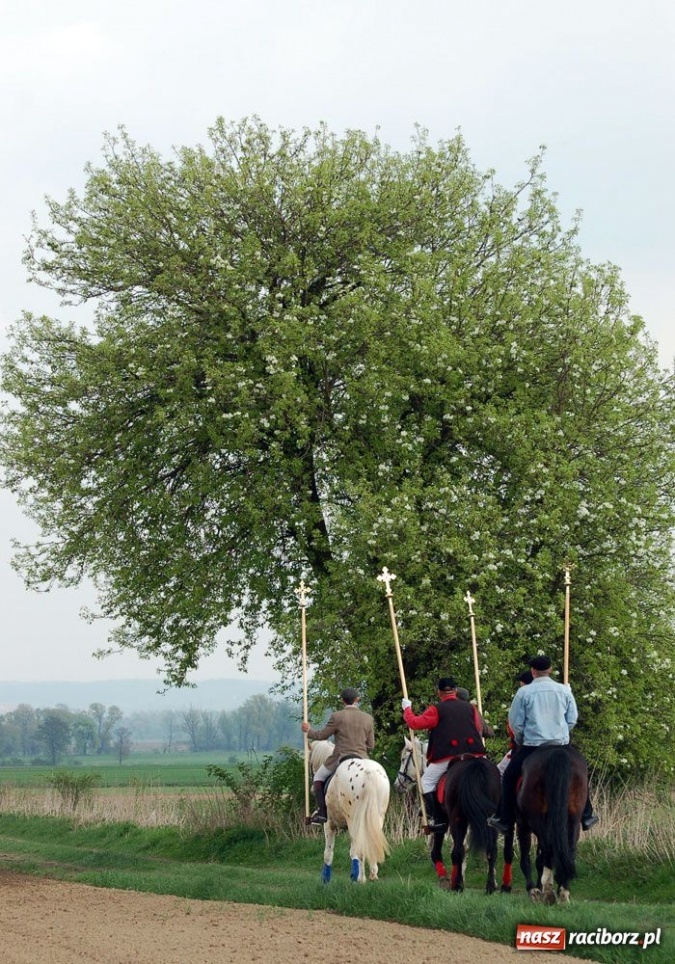 Zdjęcie w galerii na portalu naszraciborz.pl: Do Sudoła przyjechali husarzy wiadomości z regionu