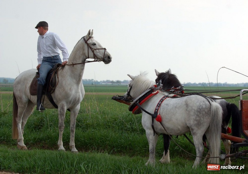 Zdjęcie w galerii na portalu naszraciborz.pl: Do Sudoła przyjechali husarzy wiadomości z regionu
