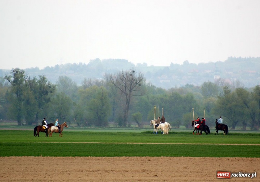 Zdjęcie w galerii na portalu naszraciborz.pl: Do Sudoła przyjechali husarzy wiadomości z regionu