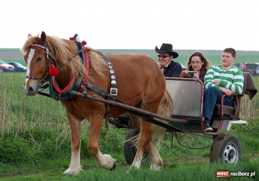 Zdjęcie w galerii na portalu naszraciborz.pl: Do Sudoła przyjechali husarzy wiadomości z regionu