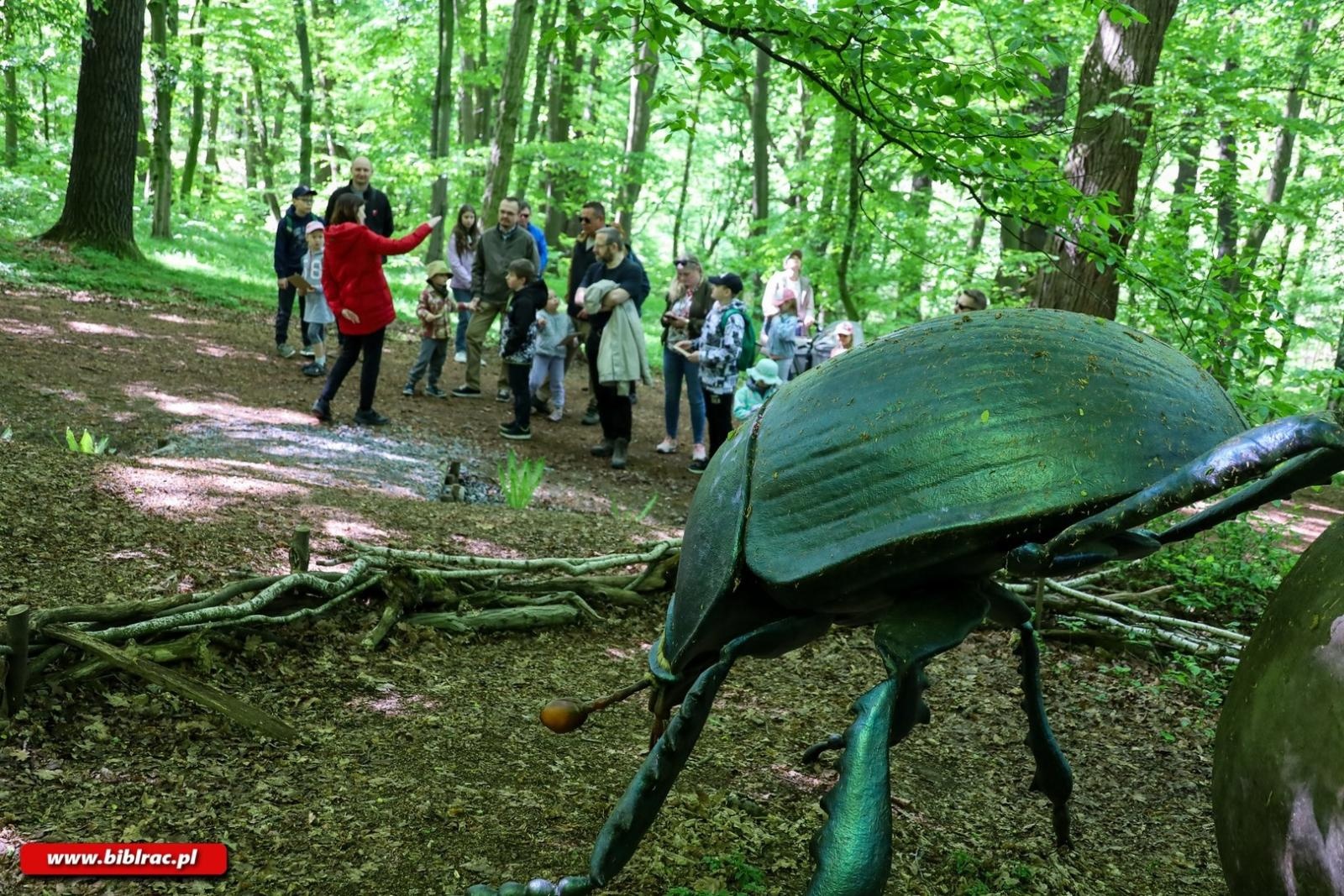Zdjęcie w galerii na portalu naszraciborz.pl: Klub Ojca w Arboretum wiadomości z regionu