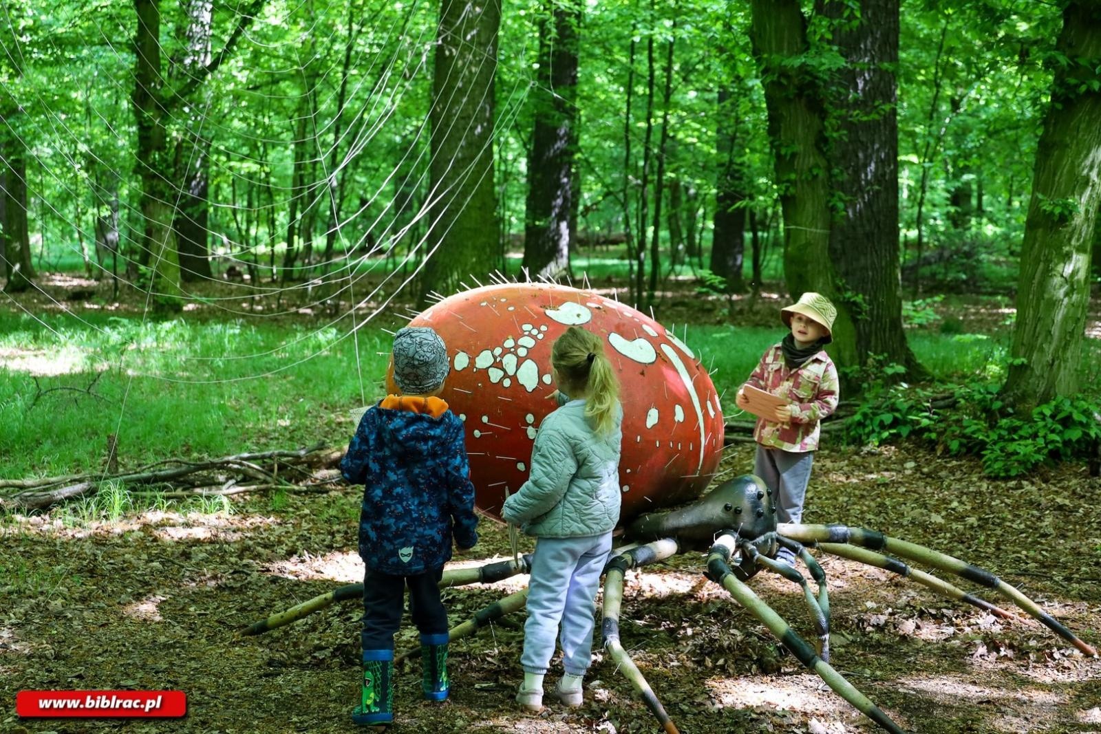 Zdjęcie w galerii na portalu naszraciborz.pl: Klub Ojca w Arboretum wiadomości z regionu