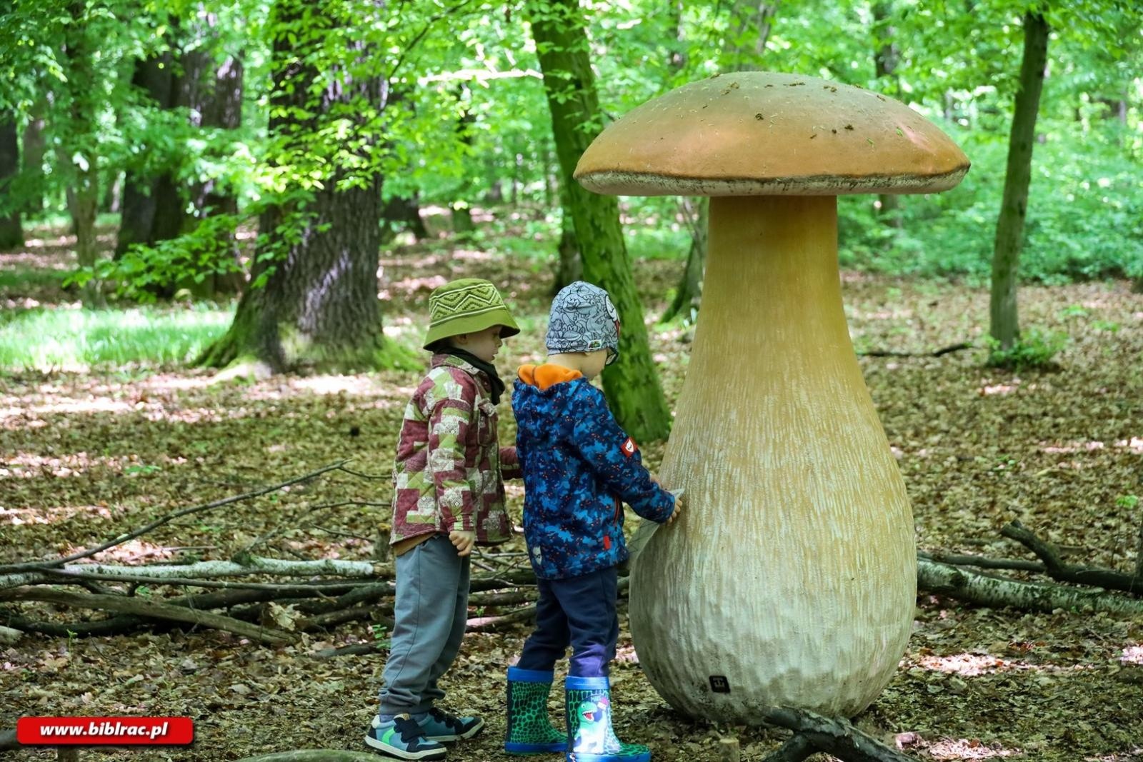 Zdjęcie w galerii na portalu naszraciborz.pl: Klub Ojca w Arboretum wiadomości z regionu
