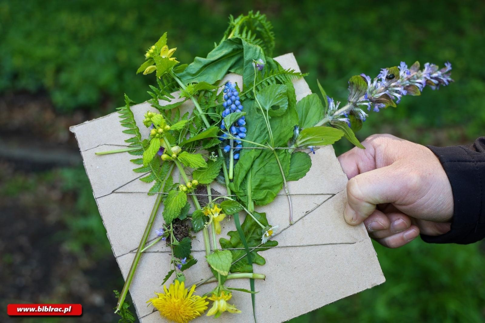 Zdjęcie w galerii na portalu naszraciborz.pl: Klub Ojca w Arboretum wiadomości z regionu