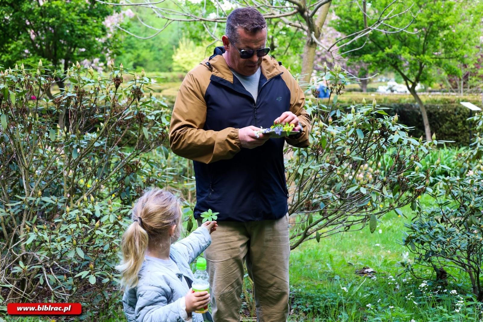Zdjęcie w galerii na portalu naszraciborz.pl: Klub Ojca w Arboretum wiadomości z regionu