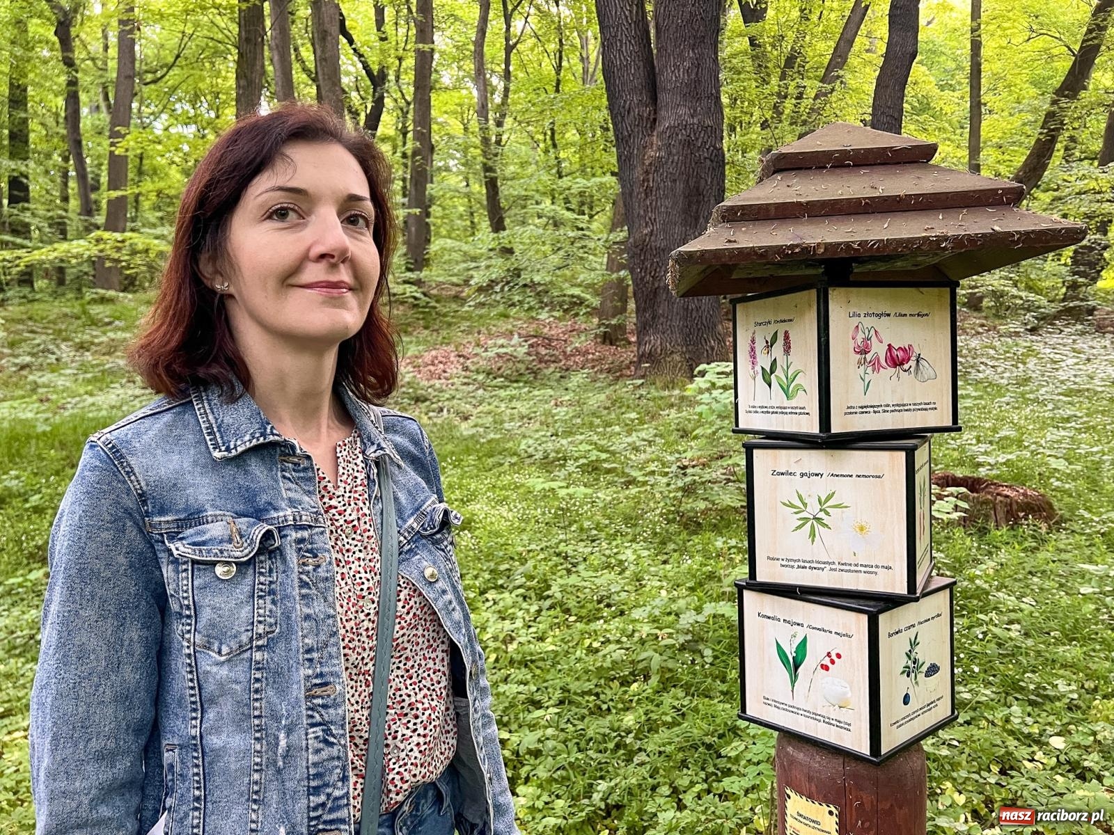 Zdjęcie w galerii na portalu naszraciborz.pl: Leśna edukacja w Arboretum. Co mówi las? – ścieżka przyrodnicza powstała przy wsparciu WFOŚiGW zaprasza na spacer wiadomości z regionu