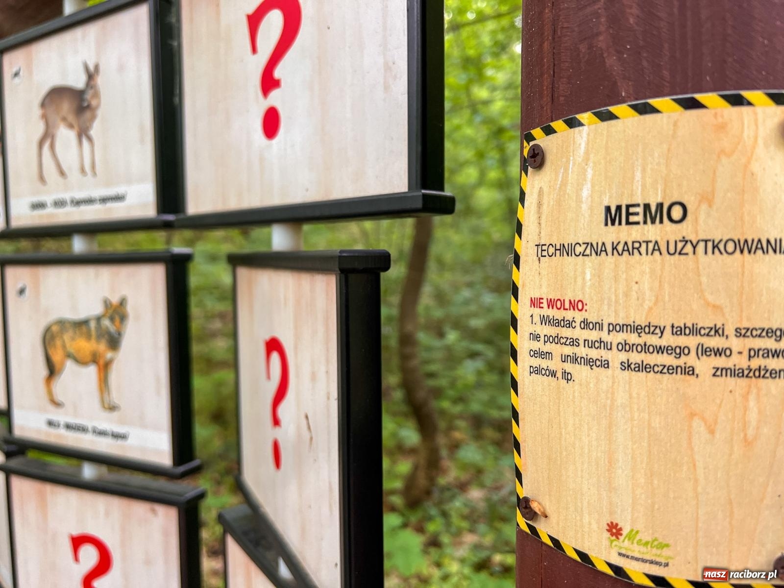 Zdjęcie w galerii na portalu naszraciborz.pl: Leśna edukacja w Arboretum. Co mówi las? – ścieżka przyrodnicza powstała przy wsparciu WFOŚiGW zaprasza na spacer wiadomości z regionu