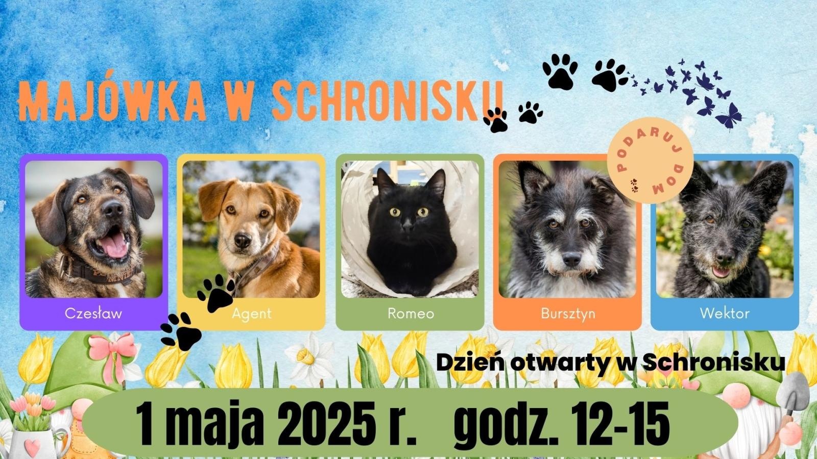 Zdjęcie w galerii na portalu naszraciborz.pl: Co? Gdzie? Kiedy? Nawigator majówkowy wiadomości z regionu