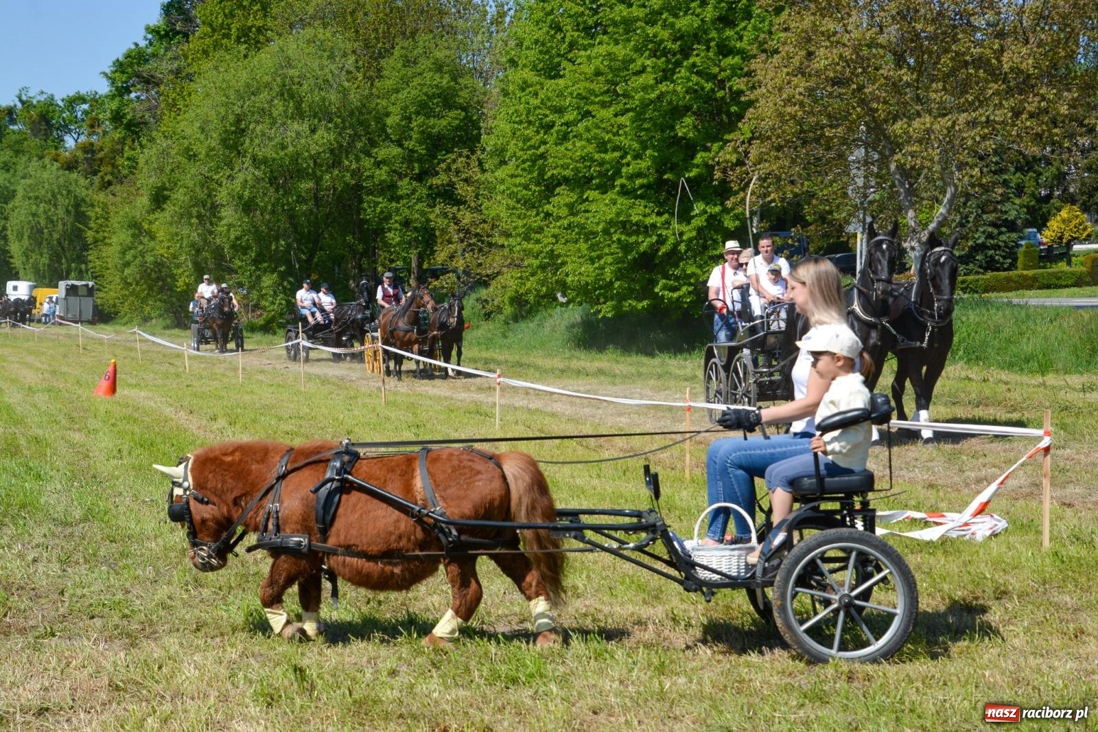 Zdjęcie w galerii na portalu naszraciborz.pl: Kornice: parada już za nami – czas na emocje w siodle i zaprzęgach wiadomości z regionu