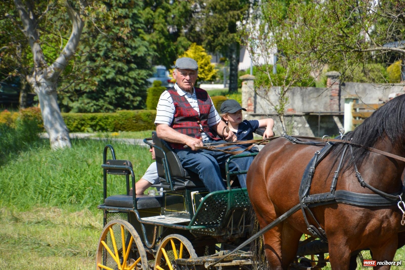 Zdjęcie w galerii na portalu naszraciborz.pl: Kornice: parada już za nami – czas na emocje w siodle i zaprzęgach wiadomości z regionu