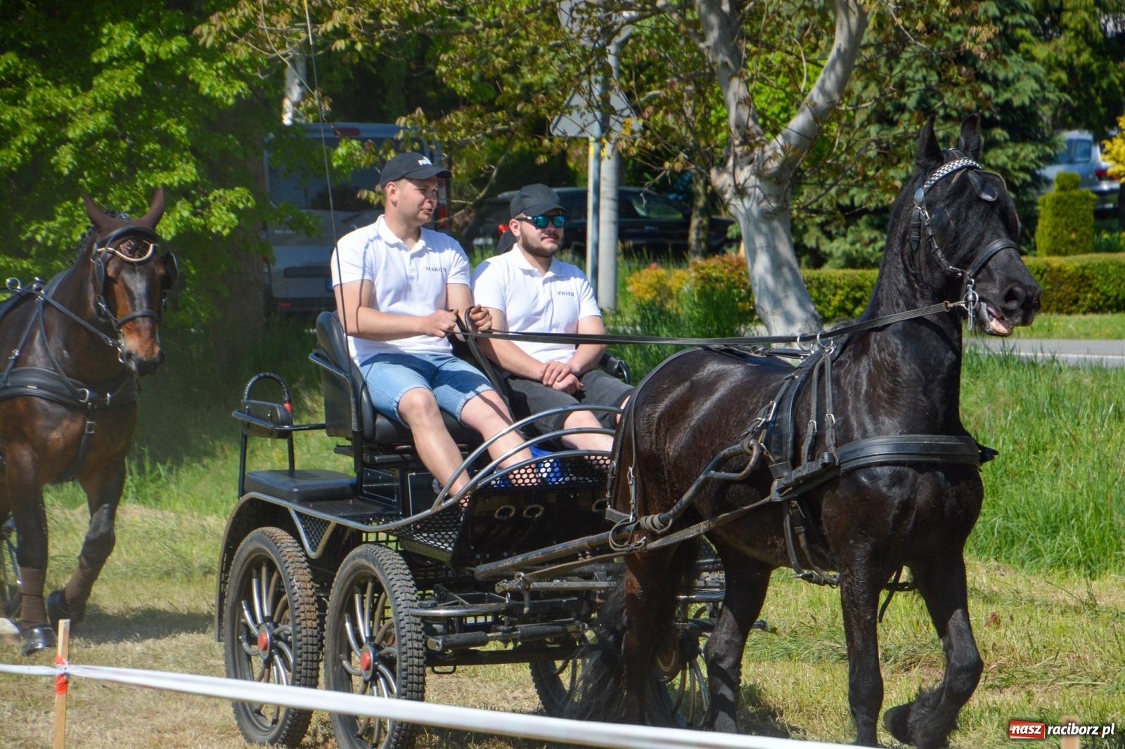 Zdjęcie w galerii na portalu naszraciborz.pl: Kornice: parada już za nami – czas na emocje w siodle i zaprzęgach wiadomości z regionu