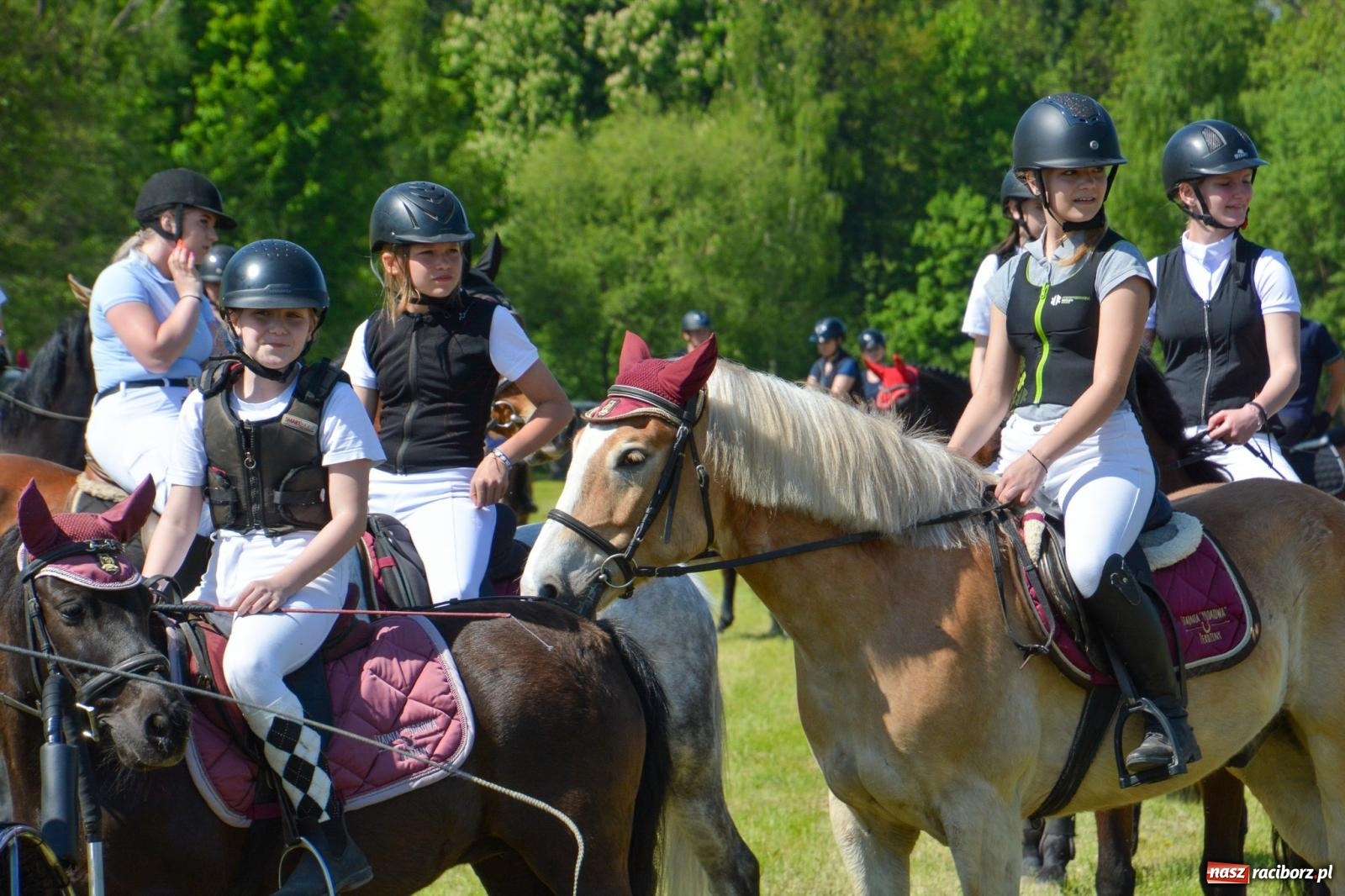 Zdjęcie w galerii na portalu naszraciborz.pl: Kornice: parada już za nami – czas na emocje w siodle i zaprzęgach wiadomości z regionu