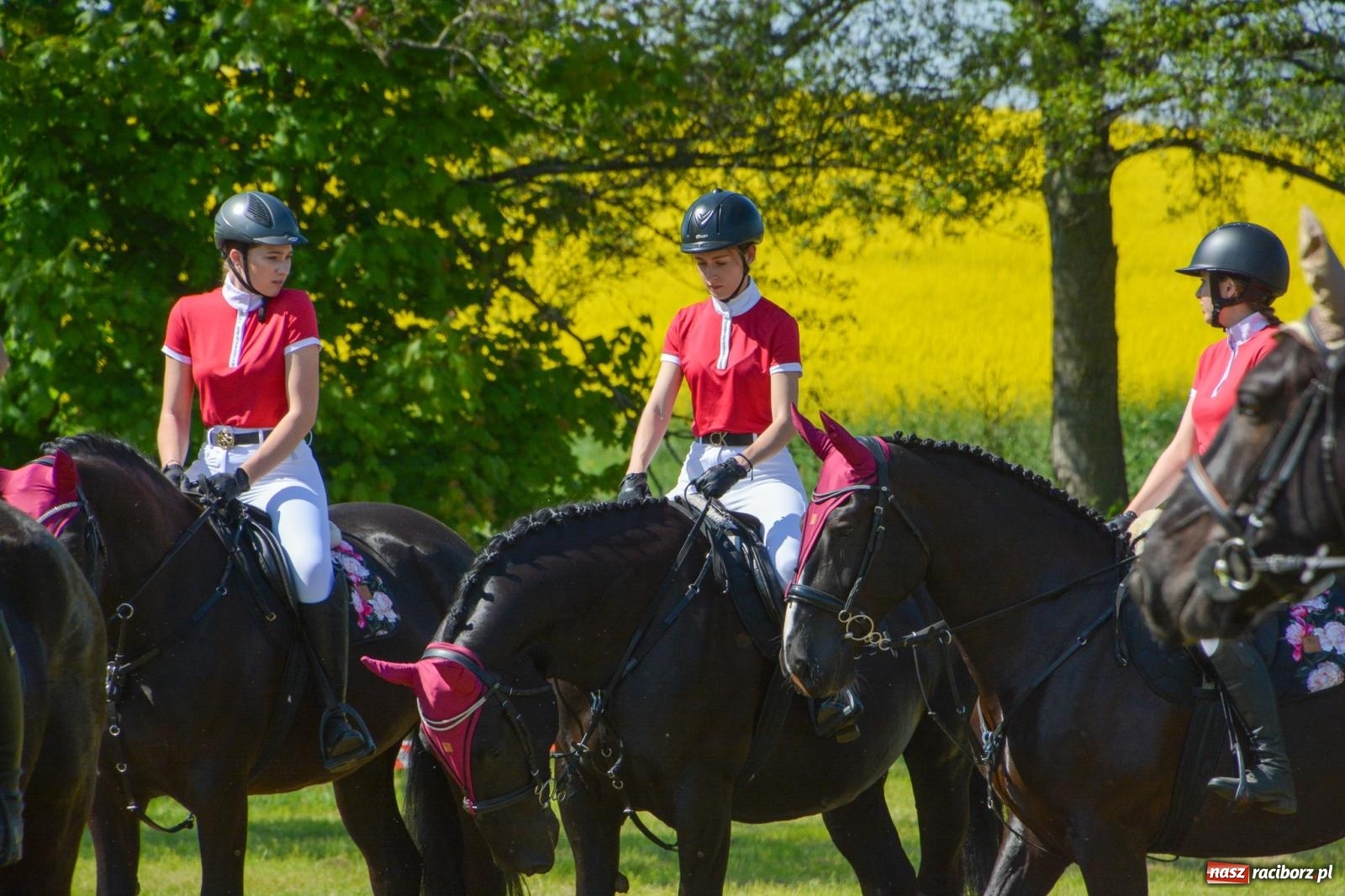 Zdjęcie w galerii na portalu naszraciborz.pl: Kornice: parada już za nami – czas na emocje w siodle i zaprzęgach wiadomości z regionu