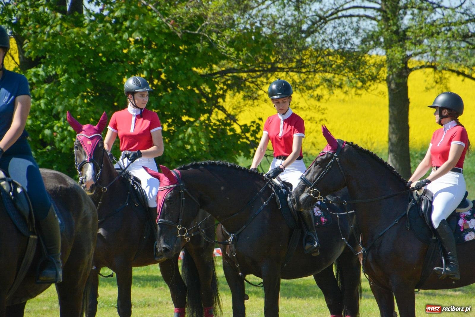 Zdjęcie w galerii na portalu naszraciborz.pl: Kornice: parada już za nami – czas na emocje w siodle i zaprzęgach wiadomości z regionu