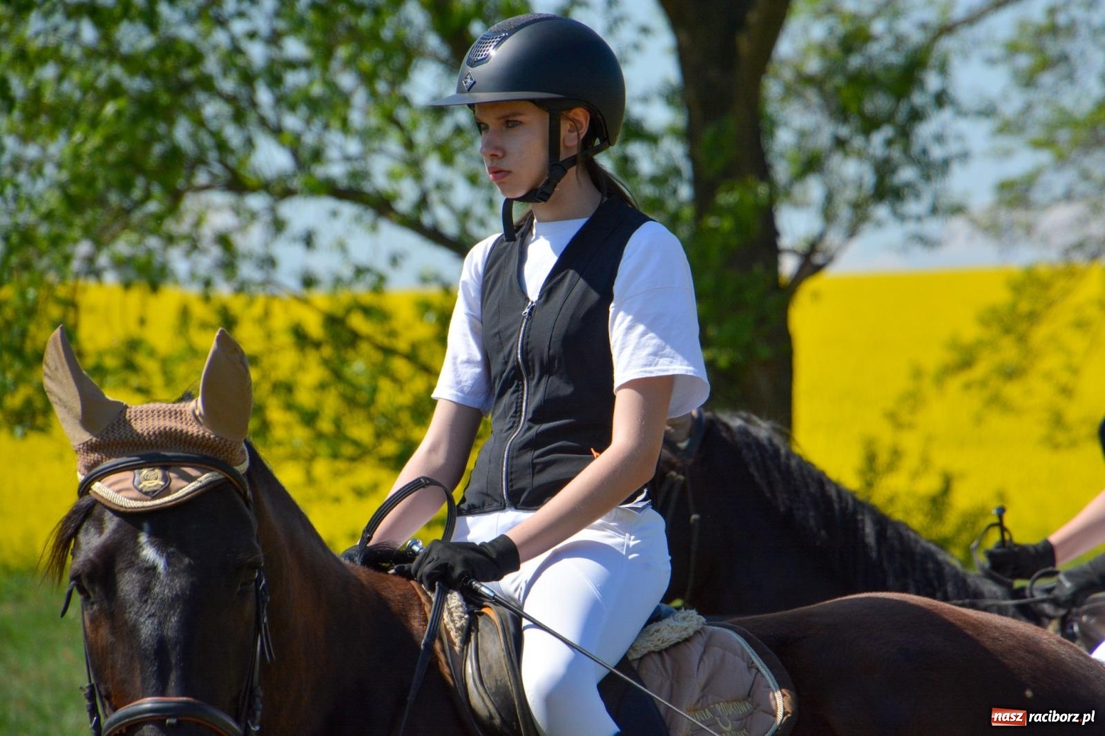 Zdjęcie w galerii na portalu naszraciborz.pl: Kornice: parada już za nami – czas na emocje w siodle i zaprzęgach wiadomości z regionu