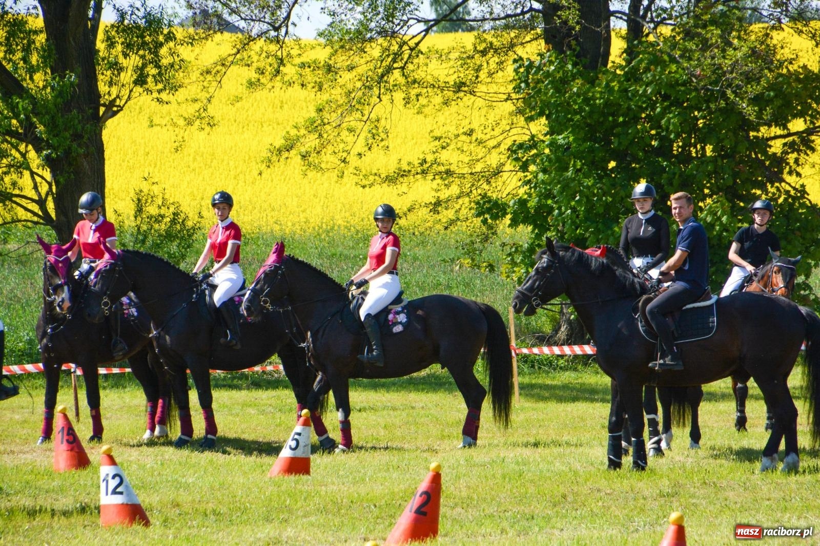 Zdjęcie w galerii na portalu naszraciborz.pl: Kornice: parada już za nami – czas na emocje w siodle i zaprzęgach wiadomości z regionu