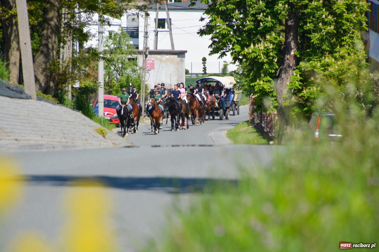Zdjęcie w galerii na portalu naszraciborz.pl: Kornice: parada już za nami – czas na emocje w siodle i zaprzęgach wiadomości z regionu