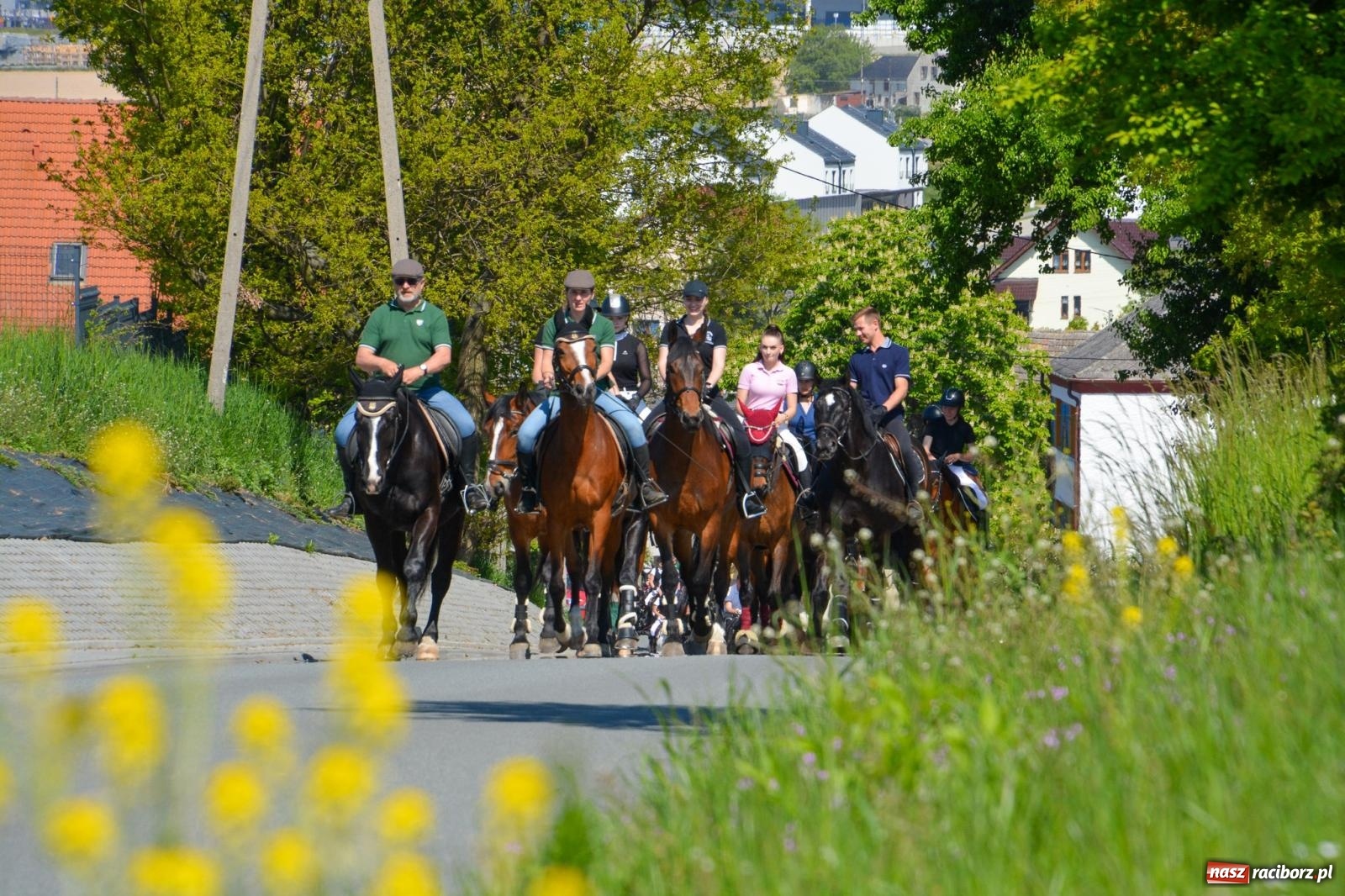 Zdjęcie w galerii na portalu naszraciborz.pl: Kornice: parada już za nami – czas na emocje w siodle i zaprzęgach wiadomości z regionu