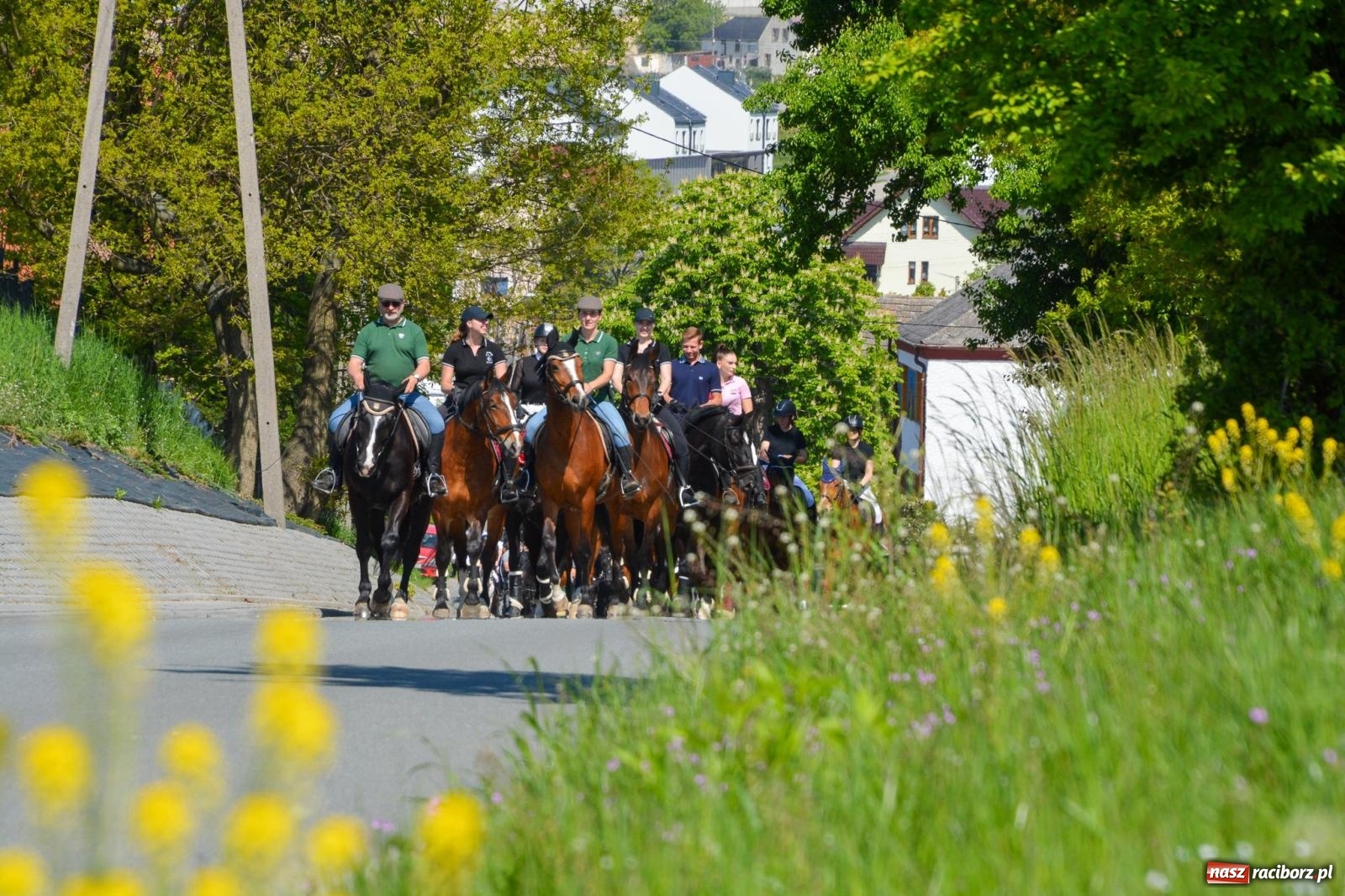 Zdjęcie w galerii na portalu naszraciborz.pl: Kornice: parada już za nami – czas na emocje w siodle i zaprzęgach wiadomości z regionu