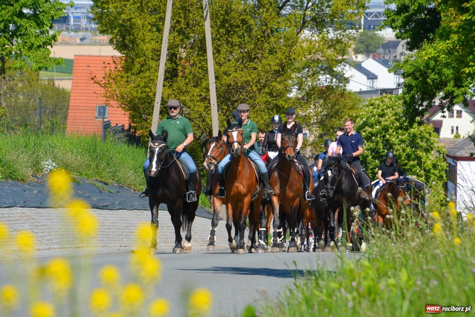 Zdjęcie w galerii na portalu naszraciborz.pl: Kornice: parada już za nami – czas na emocje w siodle i zaprzęgach wiadomości z regionu