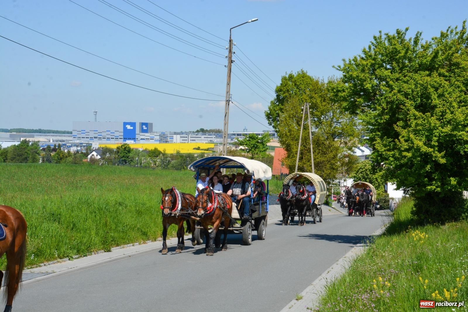 Zdjęcie w galerii na portalu naszraciborz.pl: Kornice: parada już za nami – czas na emocje w siodle i zaprzęgach wiadomości z regionu