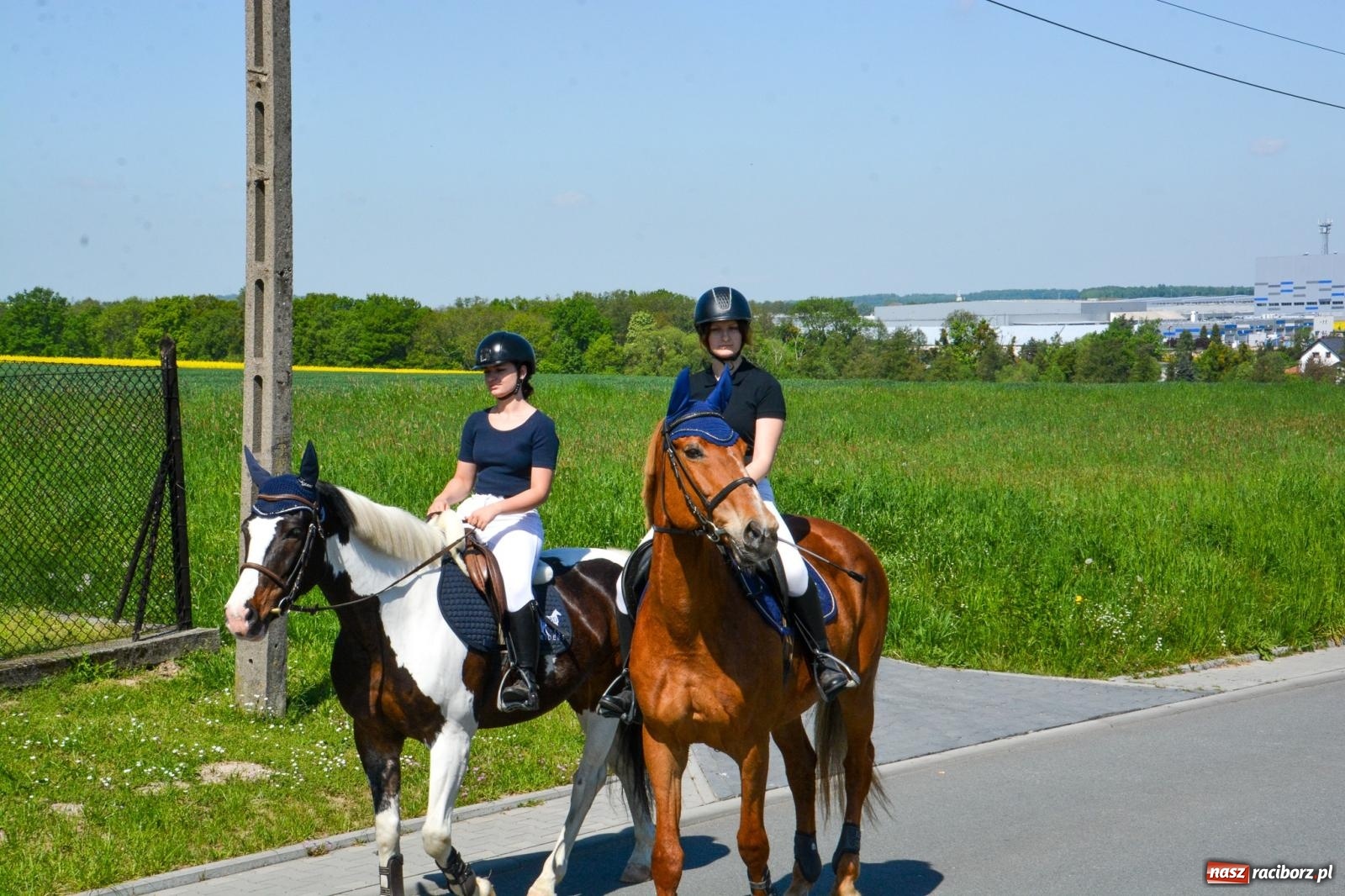 Zdjęcie w galerii na portalu naszraciborz.pl: Kornice: parada już za nami – czas na emocje w siodle i zaprzęgach wiadomości z regionu