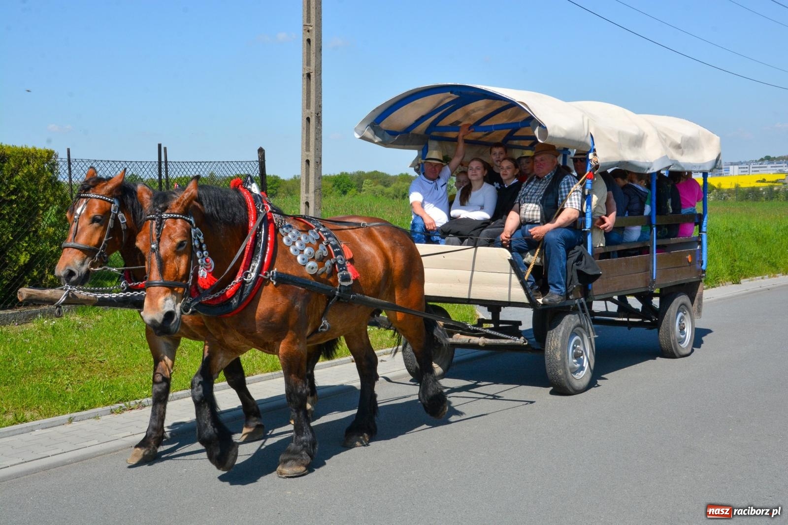 Zdjęcie w galerii na portalu naszraciborz.pl: Kornice: parada już za nami – czas na emocje w siodle i zaprzęgach wiadomości z regionu