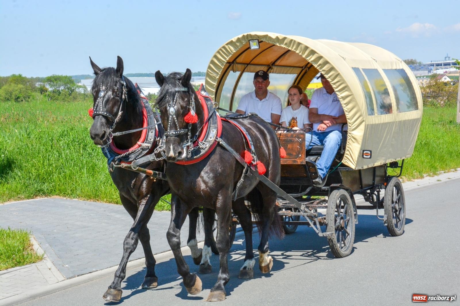 Zdjęcie w galerii na portalu naszraciborz.pl: Kornice: parada już za nami – czas na emocje w siodle i zaprzęgach wiadomości z regionu
