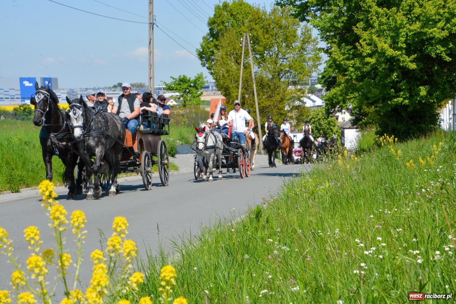 Zdjęcie w galerii na portalu naszraciborz.pl: Kornice: parada już za nami – czas na emocje w siodle i zaprzęgach wiadomości z regionu