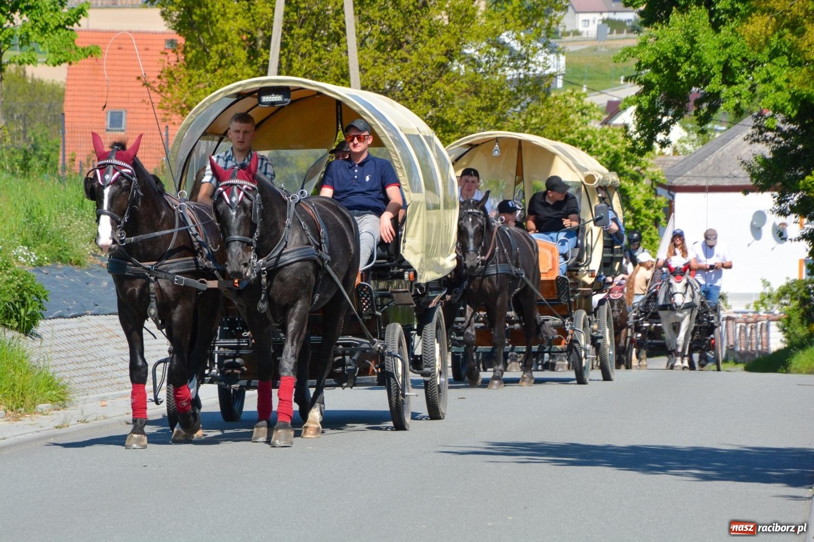 Zdjęcie w galerii na portalu naszraciborz.pl: Kornice: parada już za nami – czas na emocje w siodle i zaprzęgach wiadomości z regionu