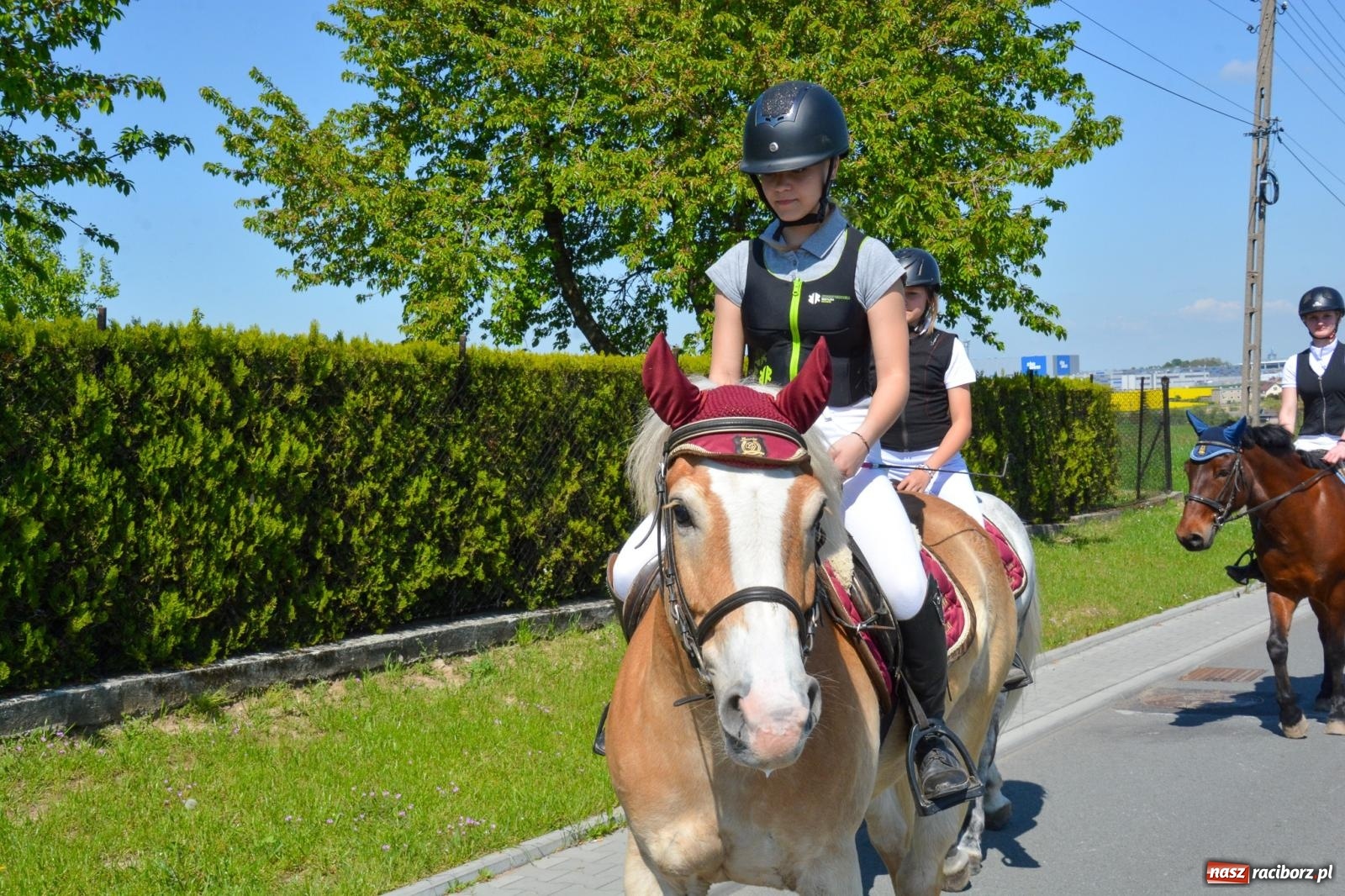 Zdjęcie w galerii na portalu naszraciborz.pl: Kornice: parada już za nami – czas na emocje w siodle i zaprzęgach wiadomości z regionu