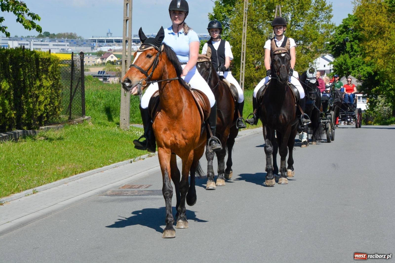 Zdjęcie w galerii na portalu naszraciborz.pl: Kornice: parada już za nami – czas na emocje w siodle i zaprzęgach wiadomości z regionu