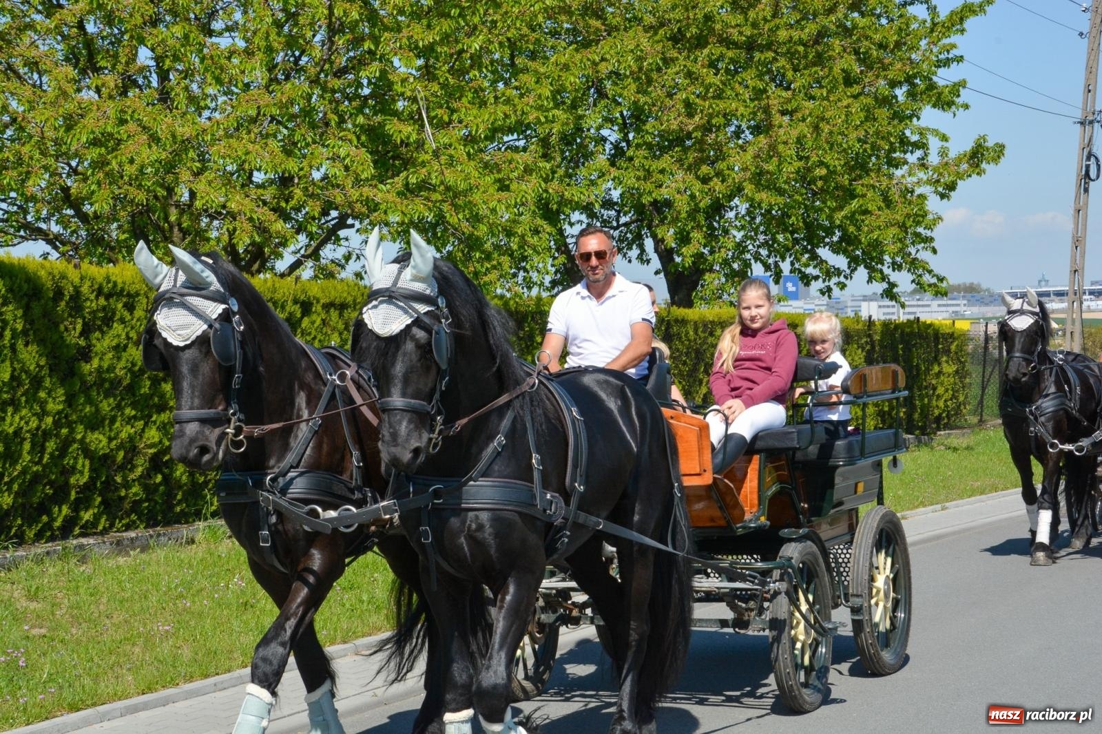 Zdjęcie w galerii na portalu naszraciborz.pl: Kornice: parada już za nami – czas na emocje w siodle i zaprzęgach wiadomości z regionu
