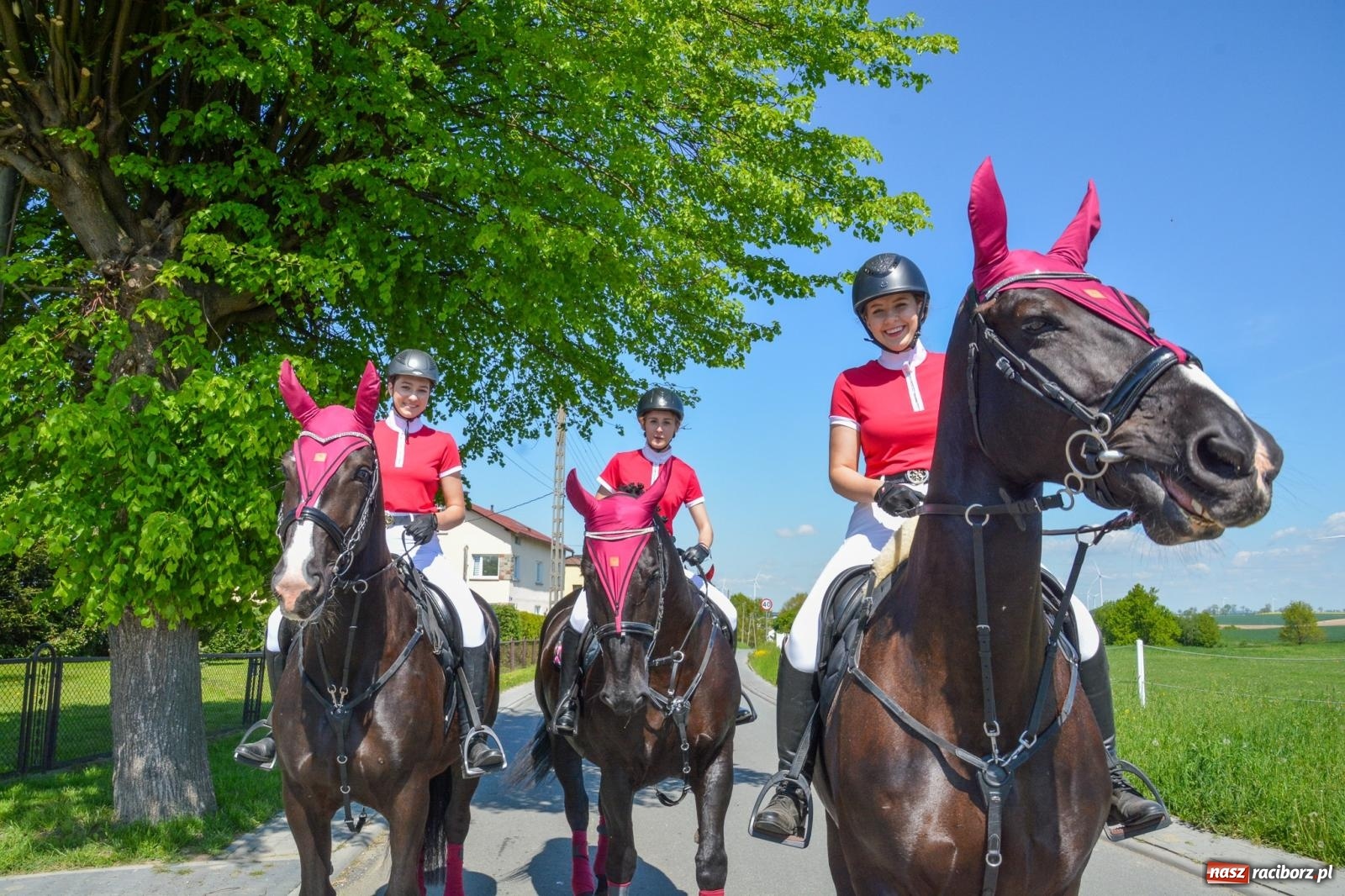 Zdjęcie w galerii na portalu naszraciborz.pl: Kornice: parada już za nami – czas na emocje w siodle i zaprzęgach wiadomości z regionu